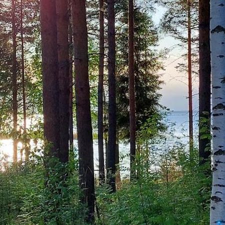 Pulla Karvisen Maatilamatkailussa Ruokola Exteriör bild