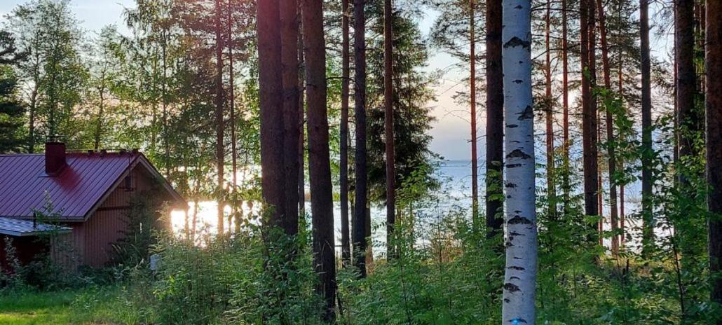 Pulla Karvisen Maatilamatkailussa Ruokola Exteriör bild